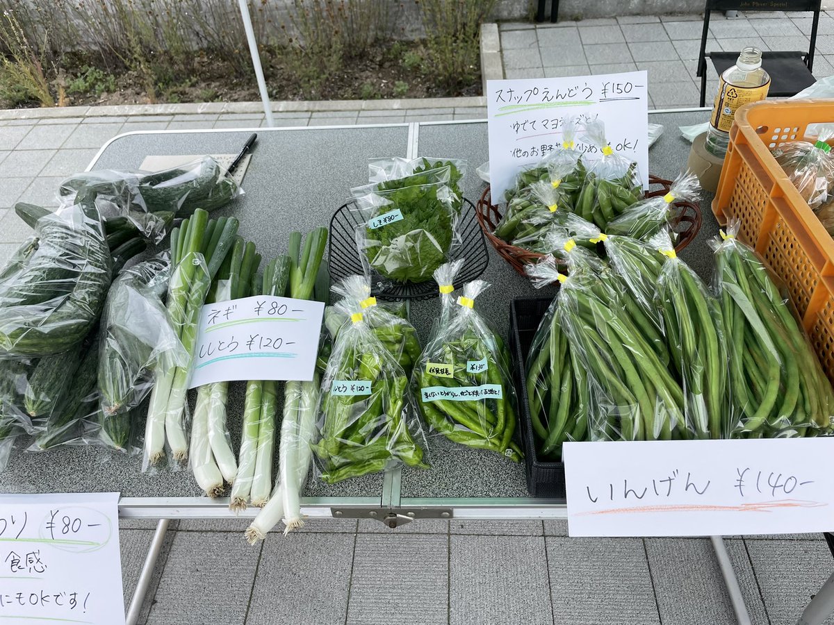 HareFarm_JP's tweet photo. 今日は北見駅前のキッチンカーマルシェでお野菜を販売させてもらっています😊今朝採れたてのお野菜とお待ちしております！
#北見 #キッチンカーマルシェ https://t.co/oflN58PyXx