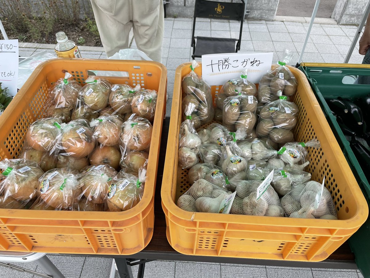 HareFarm_JP's tweet photo. 今日は北見駅前のキッチンカーマルシェでお野菜を販売させてもらっています😊今朝採れたてのお野菜とお待ちしております！
#北見 #キッチンカーマルシェ https://t.co/oflN58PyXx