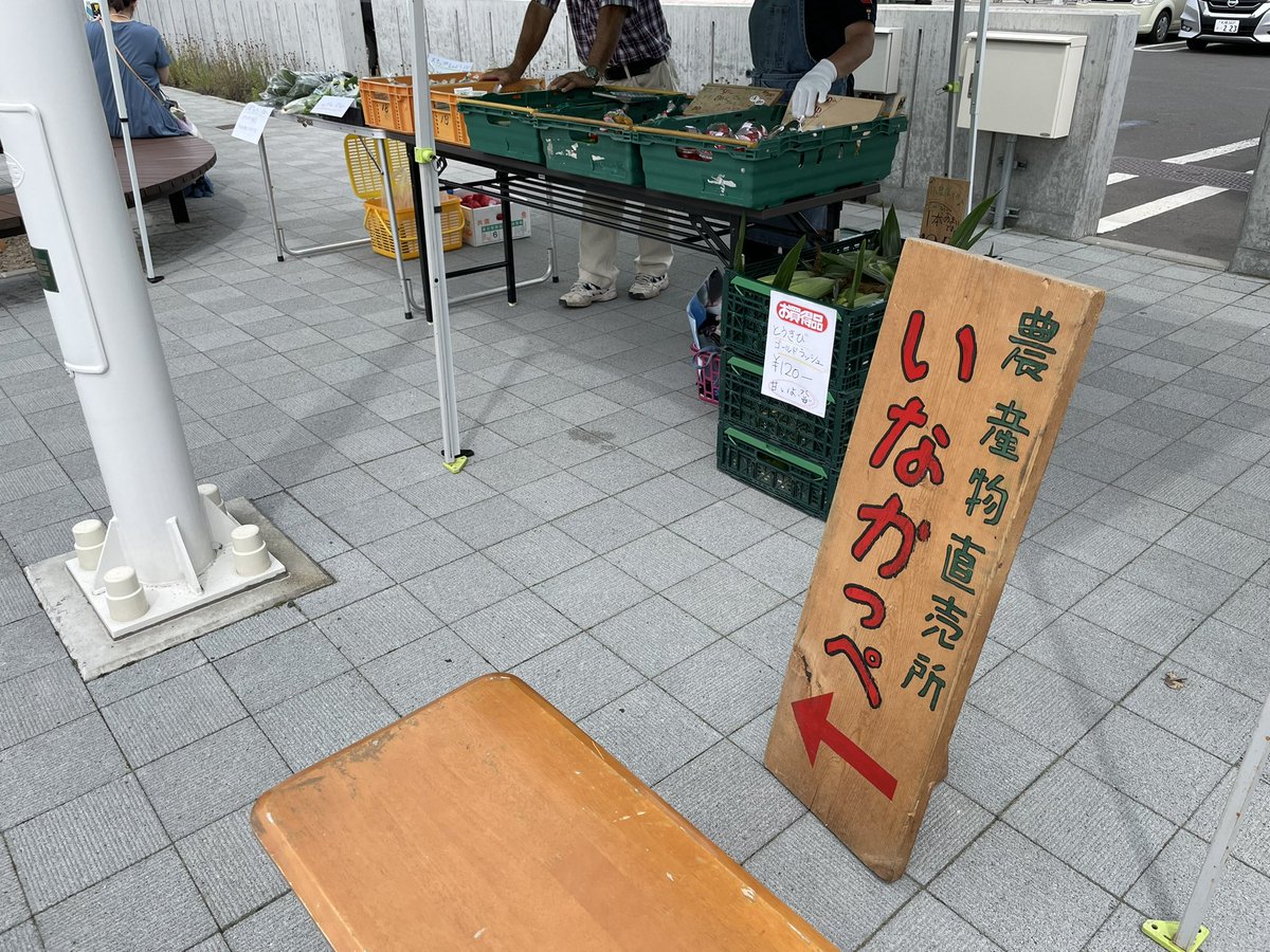 HareFarm_JP's tweet photo. 今日は北見駅前のキッチンカーマルシェでお野菜を販売させてもらっています😊今朝採れたてのお野菜とお待ちしております！
#北見 #キッチンカーマルシェ https://t.co/oflN58PyXx