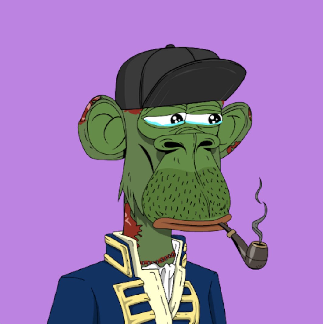 mechanical3lf's tweet image. Sent my pepe thru the @ShittyShitcoins #othershit portal and got this ugly mother fucker 😭🖕💚🙏 I love it thank you mate !!!