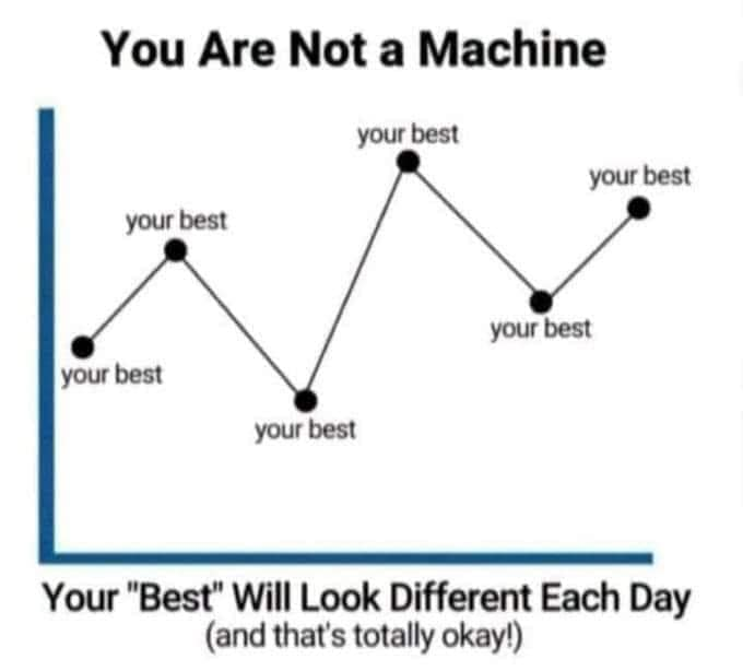 WholesomeMeme's tweet photo. https://t.co/1qkhjgeKcQ