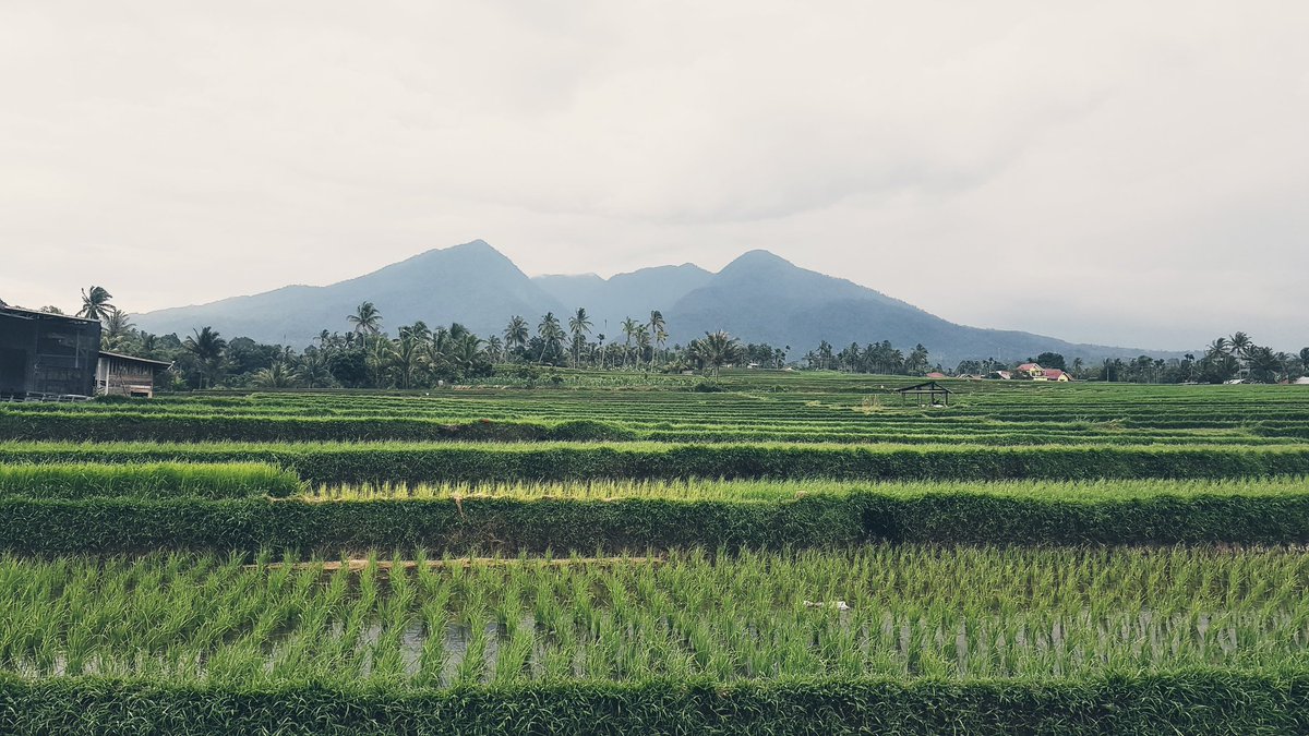 Selamat pagi warga kota