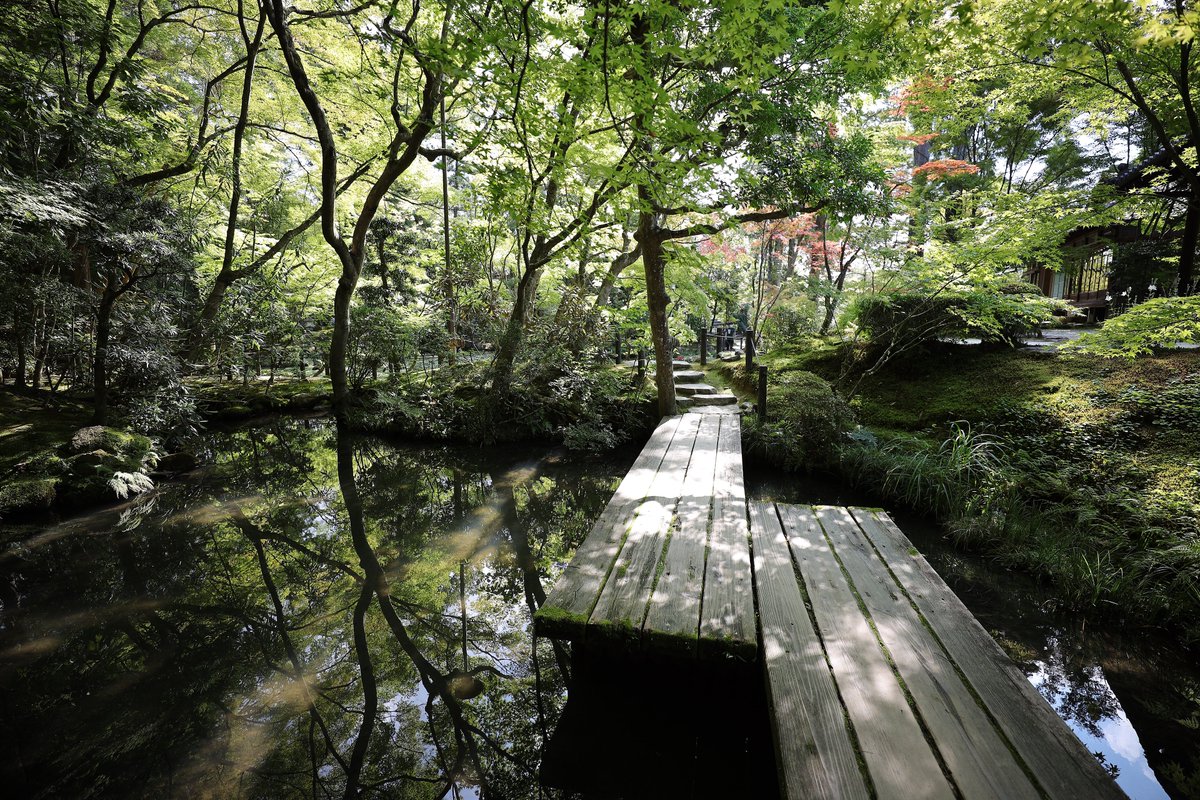 juni7952's tweet photo. 京都 南禅寺 天授庵
夕方も咲いててくれてありがとう

Canon EOS R
EF70-200mm F4L IS Ⅱ USM
EF16-35mm F2.8L Ⅲ USM
#京都 #南禅寺 #天授庵 #EOSR
#tokyocameraclub #東京カメラ部 
#reflection  #睡蓮 #リフレクション https://t.co/9nFmGN8TLs