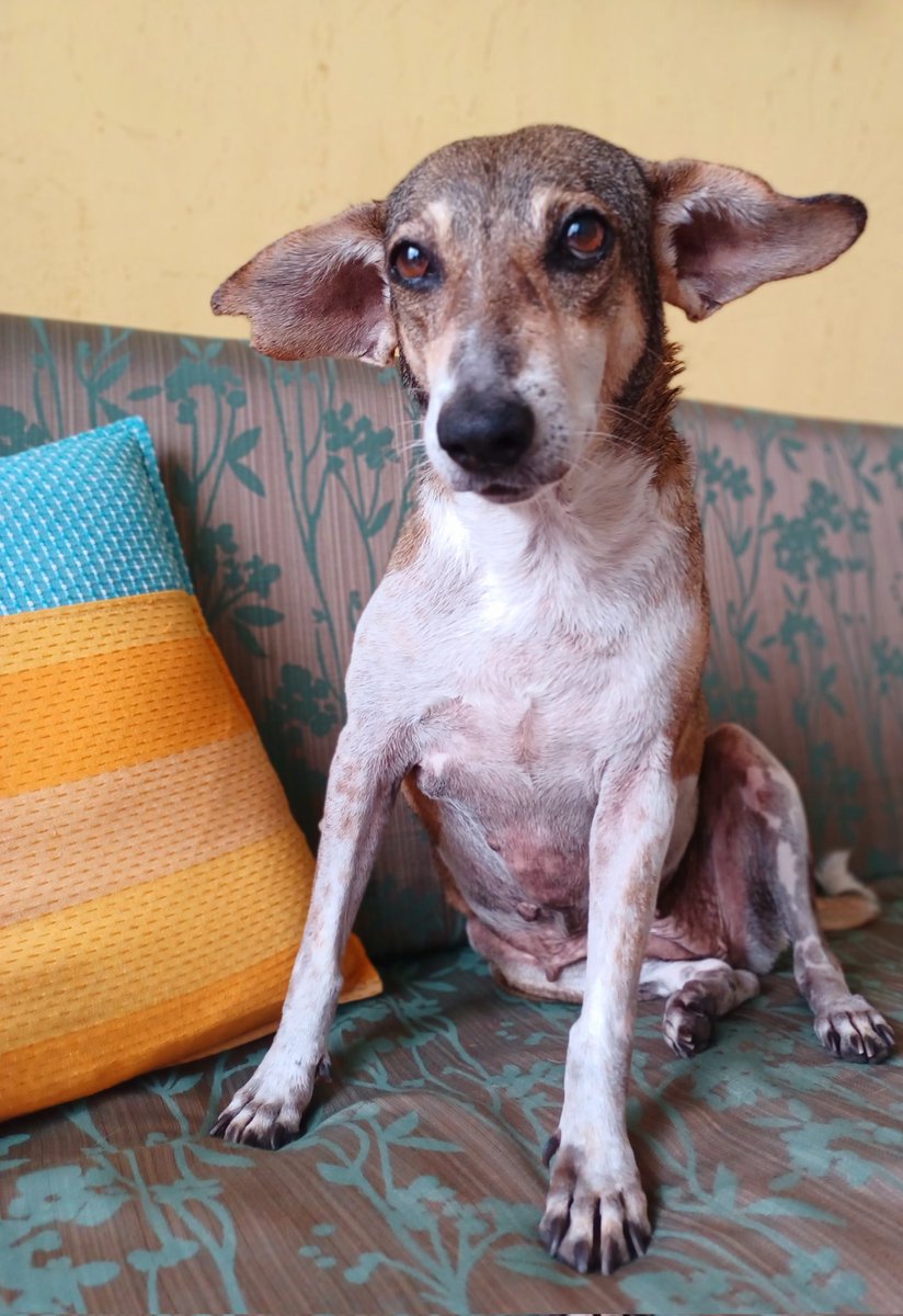 Aparna Karthikeyan tweet media