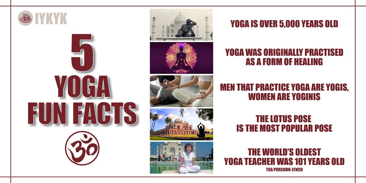 Yoga is fun. Facts. Iykyk.
.
.
.
#iykyk #pfc #pigfitnessclub #yoga #yogainspiration #yogapractice #yogalove #yogagoals #yogaprogress #sport #ﬁtness #yogatribe #yogaforbeginners #yogabalance #yogavibes