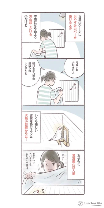 おやすみカバーを掛けるとき、暗くなるしちょっと不安になる瞬間だと思うのだけど、布以上にかいぬしのほうが怖いかも知れない…
#文鳥
#bunchoslife 