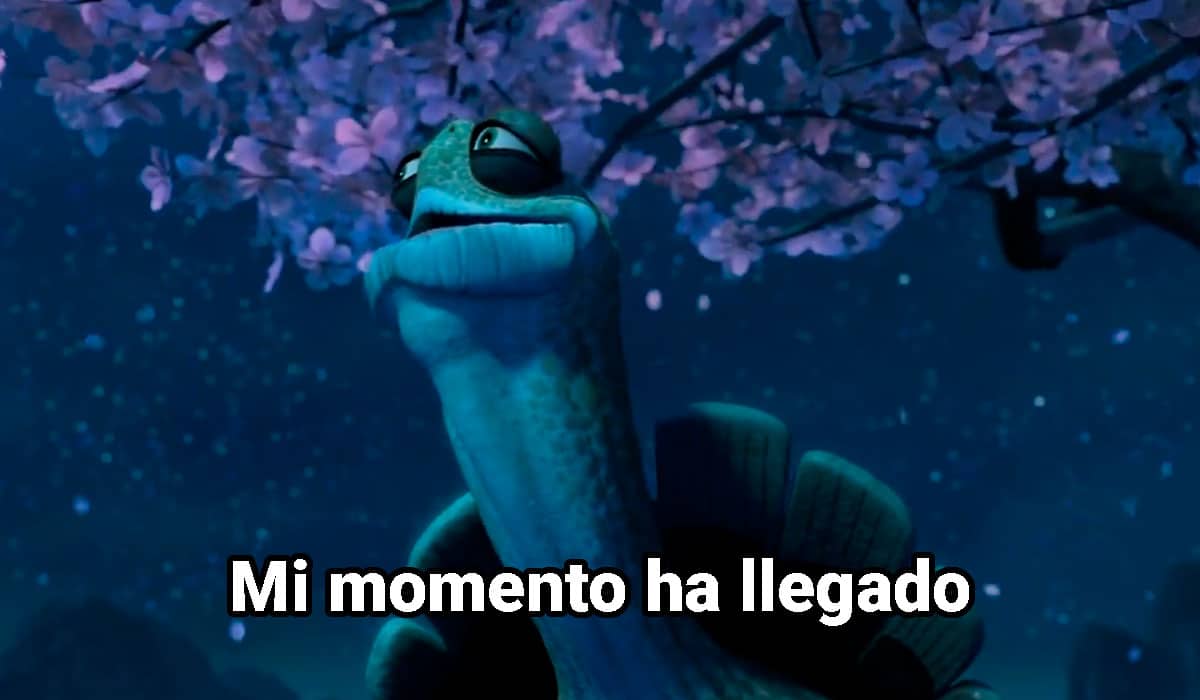 Pablo 🦎 tweet media