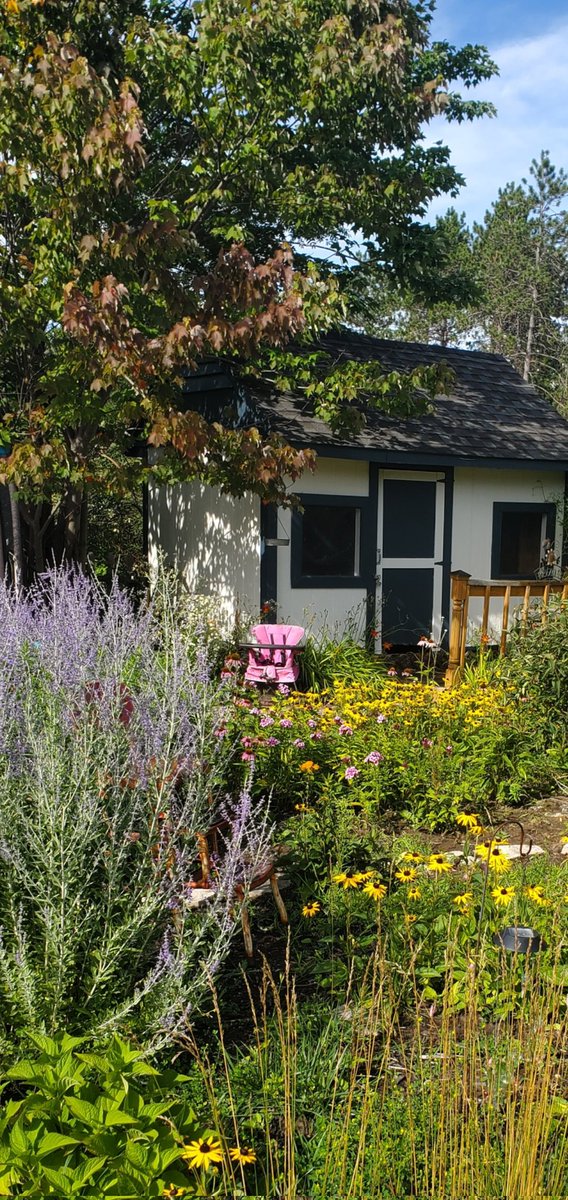 trickymic187's tweet photo. @SarahWoods66 Evenings in Northern Michigan are sweet too..the view from my granddaughters playhouse..I've decided to even love the weeds 😏cuz they've won this battle 😀 https://t.co/Oenu0DokHs