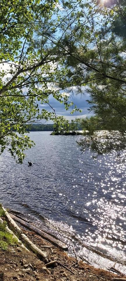 GrandpaLex's tweet photo. @marcuslemonis #opportunitywithmarcus would love to pick up some new fishing gear. This is my favorite spot! https://t.co/q3QuY9ByIM