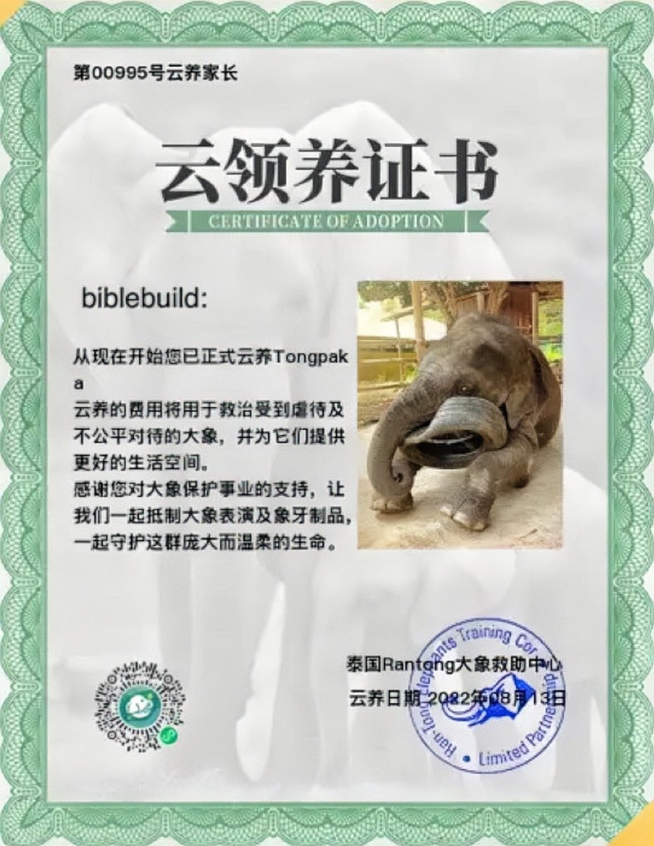 Leekkactus's tweet photo. 泡泡一百天的日子，我以buildbible和bubble的名义在泰国云养了两头受过虐待的亚洲象

Today is 100 days of bubble, I raised two abused Thai Asian elephants in the name of biblebuild and bubble, hoping that they could grow up as happily as bbb💙🖤
@Buildbuilddd @biblesumett #BibleBuild https://t.co/lrbTiNB7tr