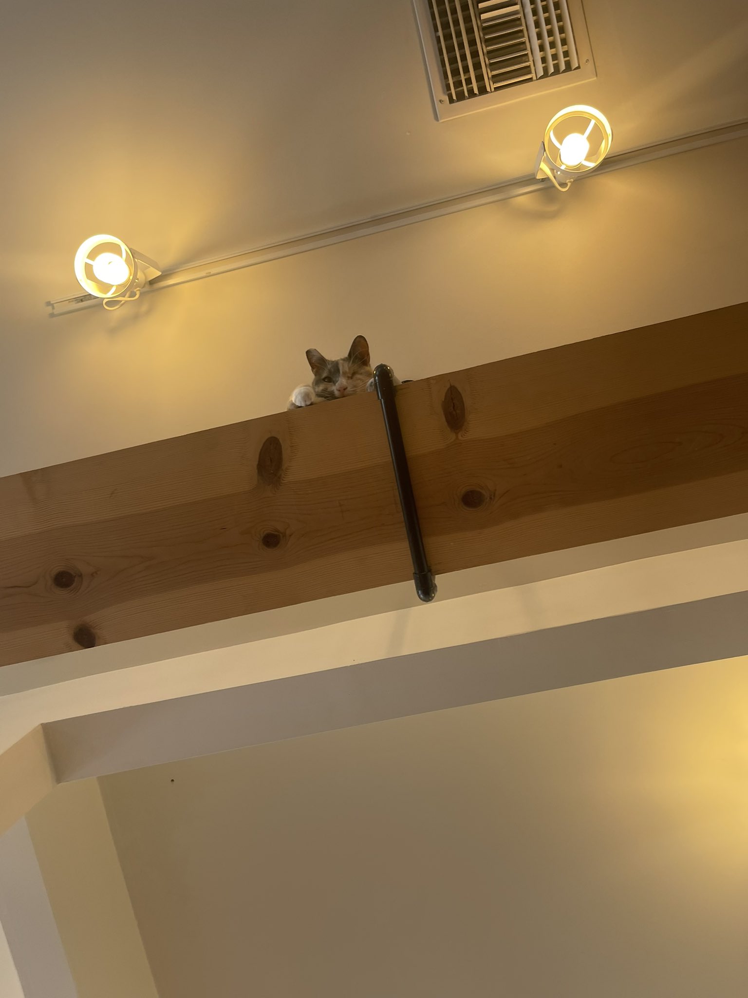 TW Pornstars 3 pic. XNicoleAnistonX.Eth. Twitter. I had a wonderful