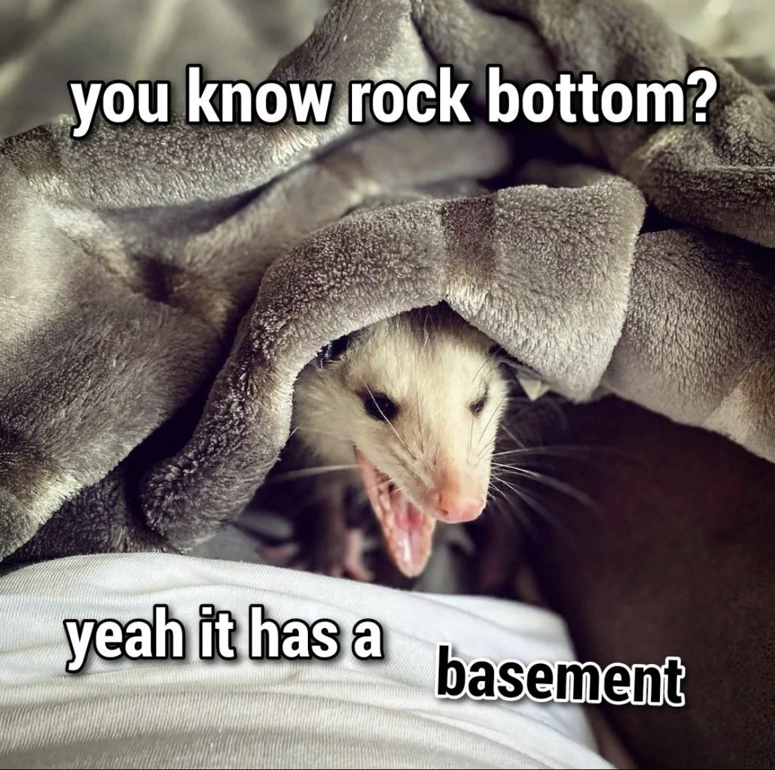 LunarCatGremlin's tweet photo. Mental health check, last four memes in your phone/computer https://t.co/uhCObS0xWV