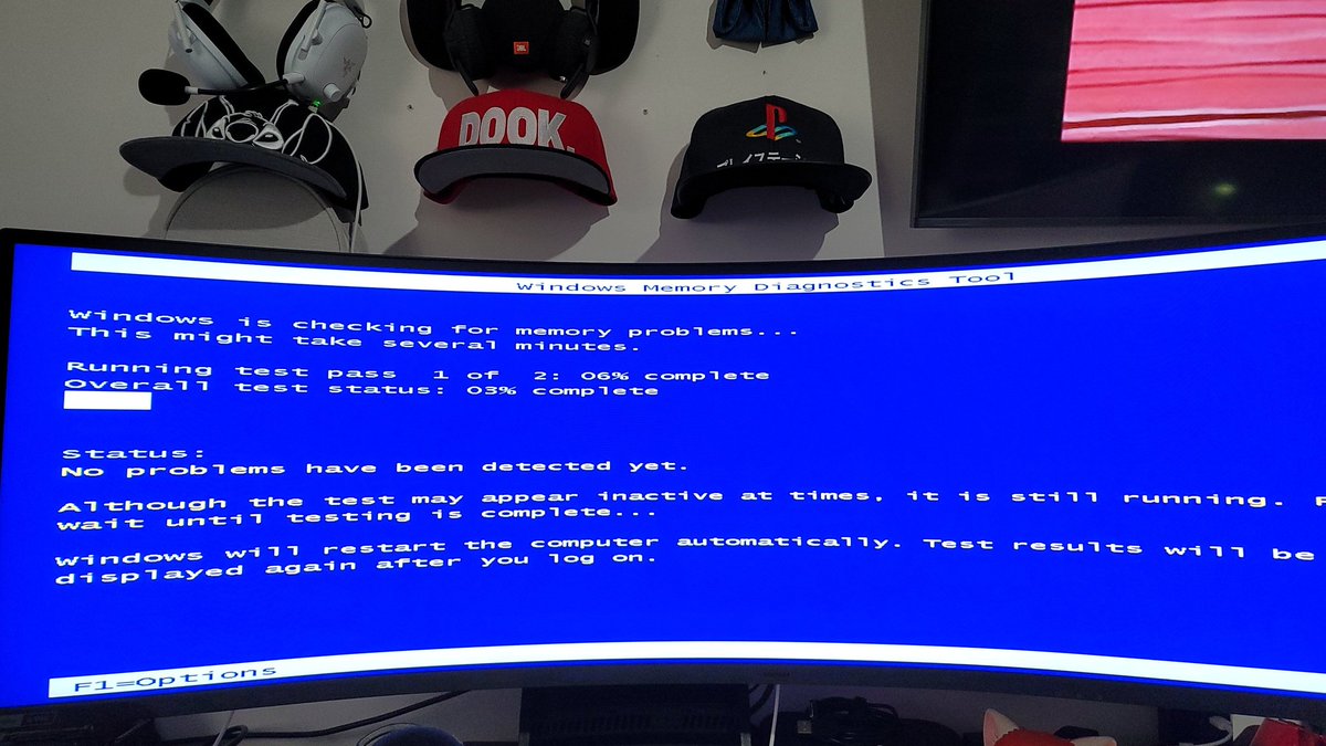Ever feel like your computer just hates you?
checking ram health is like sitting on your balls over and over.