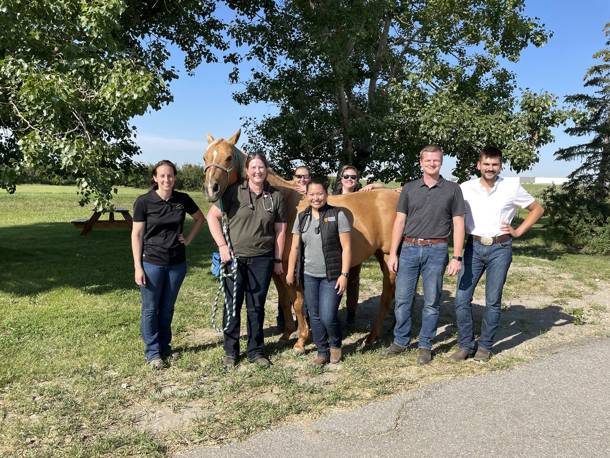 Foundations of Equine Medicine 4th year rotation - two fabulous weeks with this crew! Learning in the community - we had great cases and of course a lot of fun. @ucalgaryvetmed <a href="/MooreEquine/">Moore Equine </a>