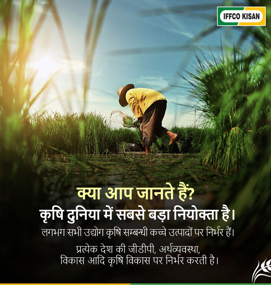 iffcokisan's tweet photo. क्या आप जानते हैं?

कृषि दुनिया में सबसे बड़ा नियोक्ता है। लगभग सभी उद्य���ग कृषि सम्बन्धी कच्चे उत्पादों पर निर्भर हैं। प्रत्येक देश की जीडीपी, अर्थव्यवस्था, विकास आदि कृषि विकास पर निर्भर करती है।

#iffcokisan #farmers #agriculture #facts https://t.co/VrpNxEMCOC