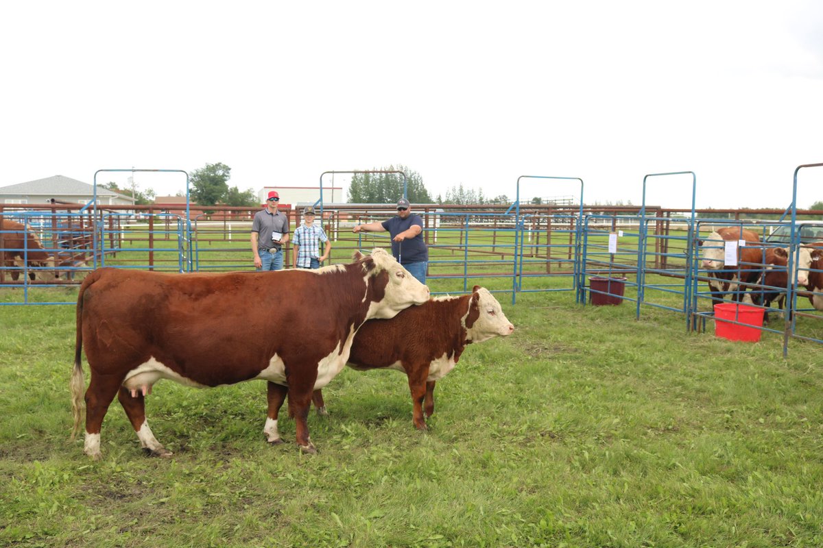 Standard Hill-SMyer tweet media