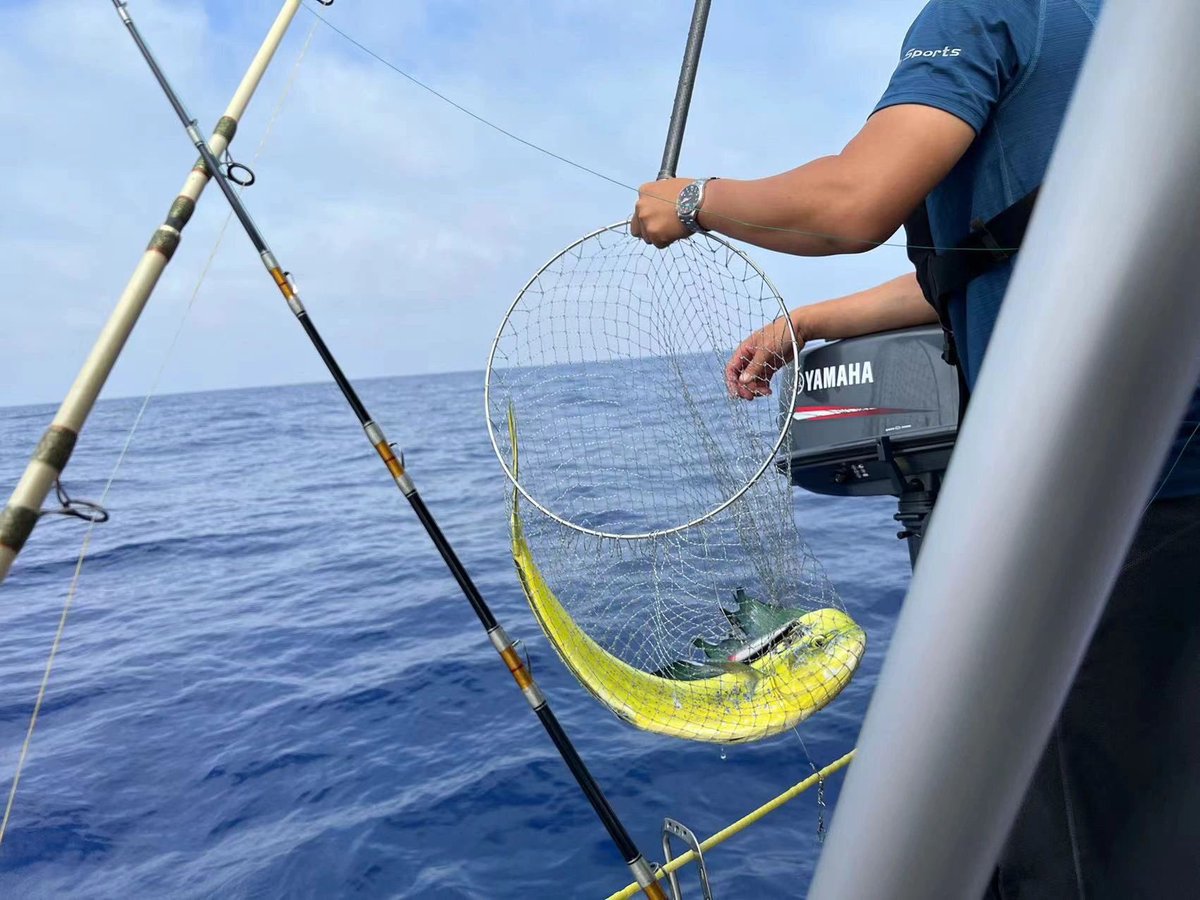 Anna11149894's tweet photo. I miss the days when I went fishing with my friends,🥳🥳 https://t.co/W6YzlpUR7M