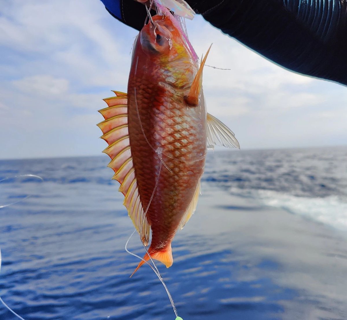Anna11149894's tweet photo. I miss the days when I went fishing with my friends,🥳🥳 https://t.co/W6YzlpUR7M