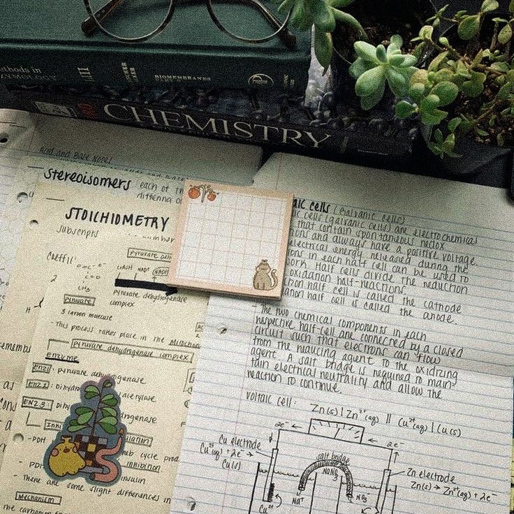 studiekye's tweet photo. ♡: #studytwtbr | #studytw 

– Karol, 18 (ela/dela)
– Estudante de Engenharia Química 
– Inglês intermediário e francês básico (aprendendo agora)

🦎; desabafos universitários, produtividade e surtos.
—bem vindos, mutuals! https://t.co/hSzVheWSDg