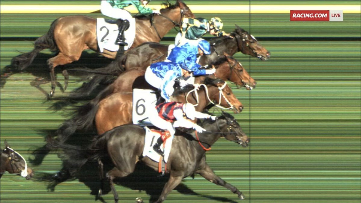 Greg Carpenter tweet media