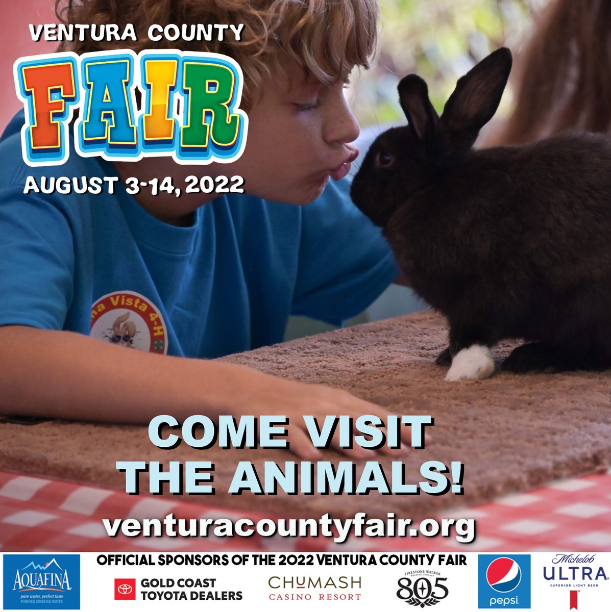 Kids Love to visit the Farm Animals in the Small Livestock Area at the Fair. This year the Small Livestock department is exhibiting 9 cavies (guinea pigs) 24 rabbits, 9 chickens, 14 turkeys, 5 pygmy goats and 2 miniature pigs!

Fair info: venturacountyfair.org