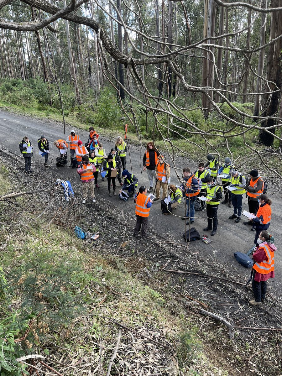 Andrew Mackintosh ❄️ tweet media