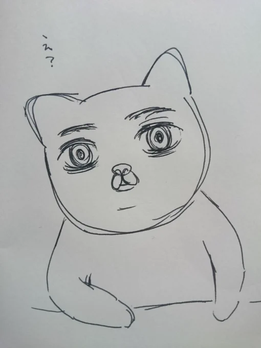 ネコちゃん? 