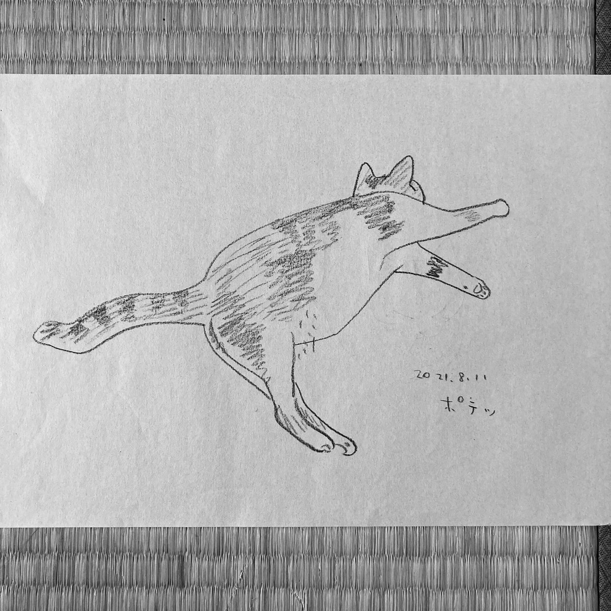 レティシア書房さんで開催中の『みゃーこ湯のトタンくん』展は明日、日曜日まで。よろしくお願いします。 