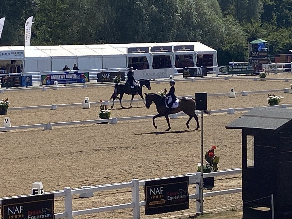 Nat Waran tweet media