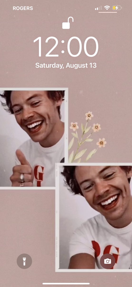 LAxDiaries's tweet photo. OFFICALLY 
2
DAYS 

#lotoronto #torontolot #loveontour @ScotiabankArena @Harry_Styles @HLDTour @HSHQ https://t.co/jVJ4xPfDo2
