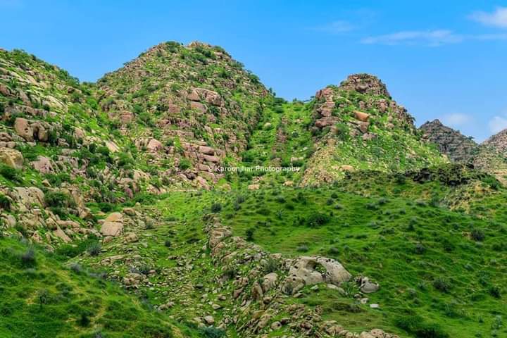 dastgirbhatti15's tweet photo. منهنجوڪتاب"ٻاھر ٻاڦ ٿي نڪري" شايع ڪندڙپارڪر پبليڪيشن جي سرواڻ ايشورلال اجھوھينئر ڪارونجهرجبل جون سھڻيون۽تازيون تصويرون شيئرڪيون آهن۽ننگرپارڪر گھمڻ جي دعوت ڏني اٿس.اسانجي سنڌجيجل بدبخت آهي جنهن تي انسانيت کان وانجهيل فطرت جادشمن اڌ صديءَ کان راڄ ڪن پيانه ته سداقائم رهي ھاھيءسونھن https://t.co/MwpIEJHzOe