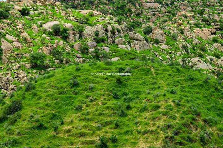 dastgirbhatti15's tweet photo. منهنجوڪتاب"ٻاھر ٻاڦ ٿي نڪري" شايع ڪندڙپارڪر پبليڪيشن جي سرواڻ ايشورلال اجھوھينئر ڪارونجهرجبل جون سھڻيون۽تازيون تصويرون شيئرڪيون آهن۽ننگرپارڪر گھمڻ جي دعوت ڏني اٿس.اسانجي سنڌجيجل بدبخت آهي جنهن تي انسانيت کان وانجهيل فطرت جادشمن اڌ صديءَ کان راڄ ڪن پيانه ته سداقائم رهي ھاھيءسونھن https://t.co/MwpIEJHzOe