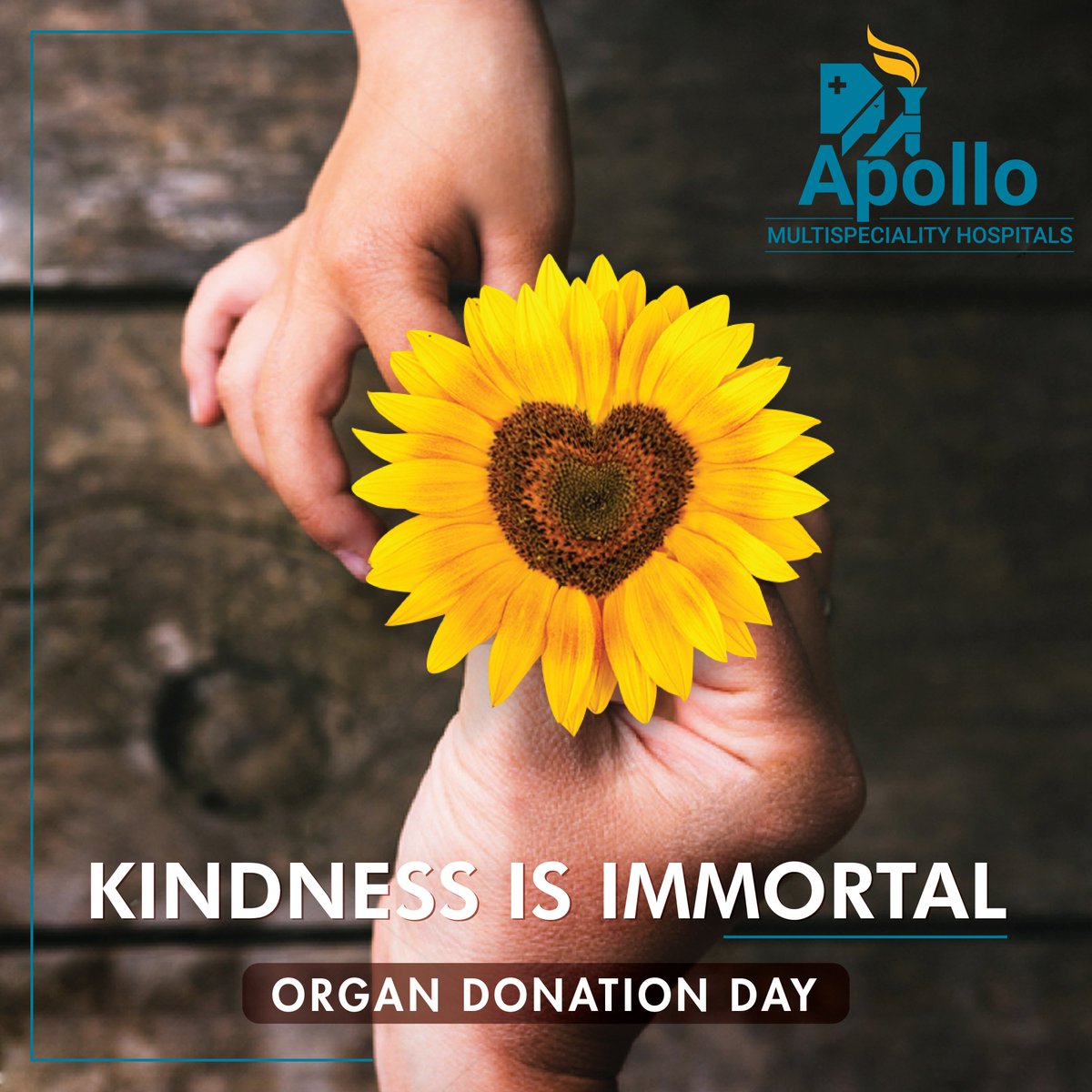 apollo_kolkata's tweet photo. World Organ Donation Day provides us with an opportunity to create awareness among people about the importance of donating their healthy organs after their death, which could save many precious lives.
#WorldOrganDonationDay #Medsolutions #Health #Kolkata @WHO https://t.co/sFq487etDr