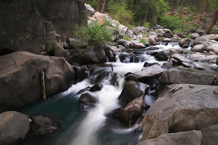 ampomata's tweet photo. "Until Somebody Loves You". Check out this superb photo by @LaurieSearch here: https://t.co/Itabr7nLO3 #art #photo #nature #outdoors #waterfalls #rivers #longbarn #california #water #flowing #rocks #trees #stanislaus #river https://t.co/5SmsQtWlMm