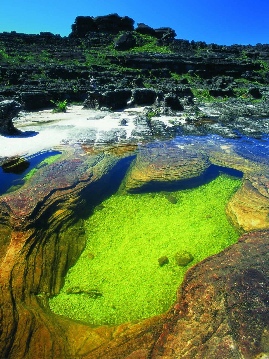 GianlucaCoccon1's tweet photo. Fascinante…
JACUZZIS del RORAIMA, en el Monte Roraima o Tepuy Roraima Parque Nacional CANAIMA…Edo Bolívar VENEZUELA 🇻🇪🇻🇪🇻🇪🇻🇪🇻🇪🇻🇪🇻🇪🇻🇪🇻🇪🇻🇪🇻🇪🇻🇪🇻🇪🇻🇪 https://t.co/I0y96VBgdR