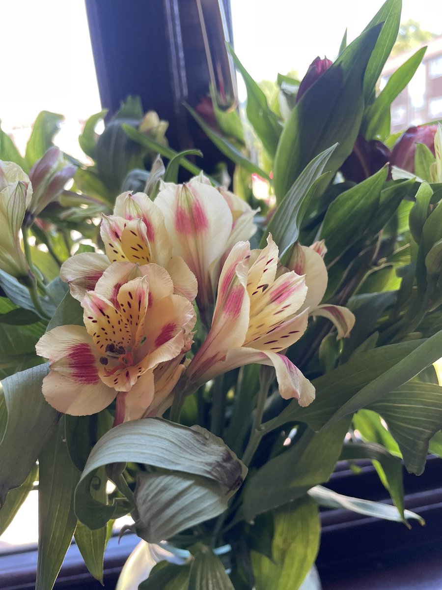 annecater's tweet photo. Thank you @RachelAmphlett
Love my job #BlogTourOrganiser https://t.co/JGCslJ3gkM