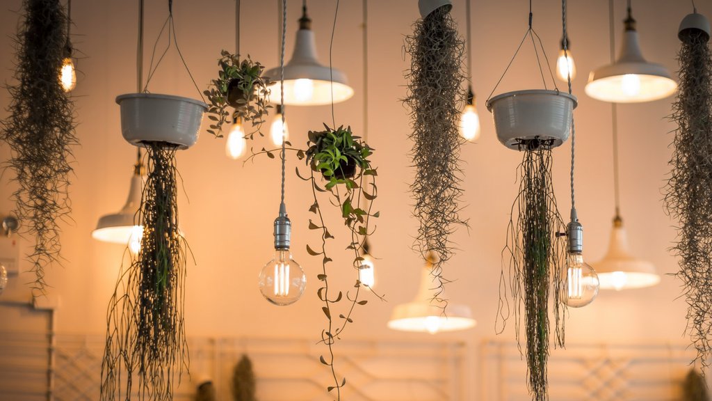 SITU LIVE tweet media