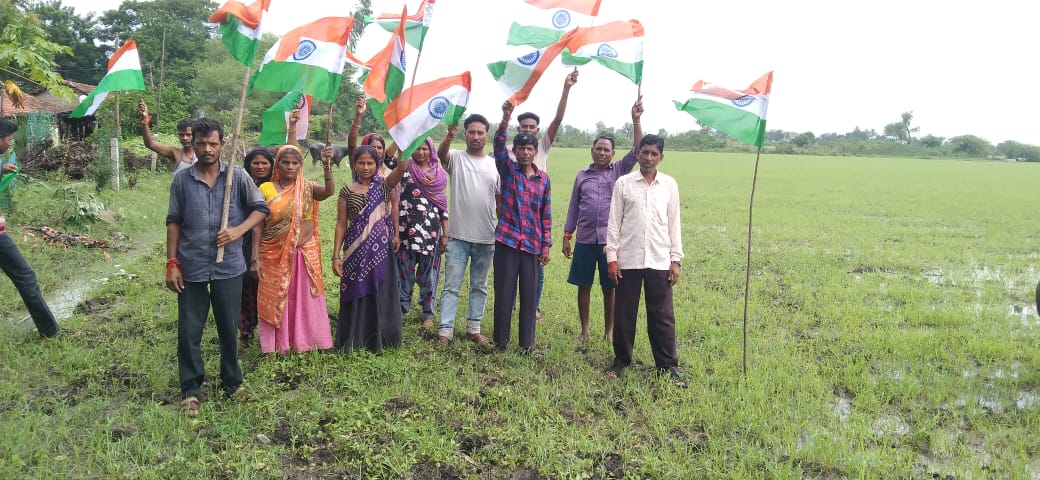 DAOCU34's tweet photo. "આઝાદીના અમૃત મહોત્સવ" નિમિતે હર ઘર તિરંગા અંતર્ગત  છોટાઉદેપુર જિલ્લાના ખેડુતો દ્વારા ઉલ્લસભેર ખેતરોમા તિરંગા લહેરાવામા આવ્યા......@collectorcu @DDOCUdepur https://t.co/gI9bU0wiEw