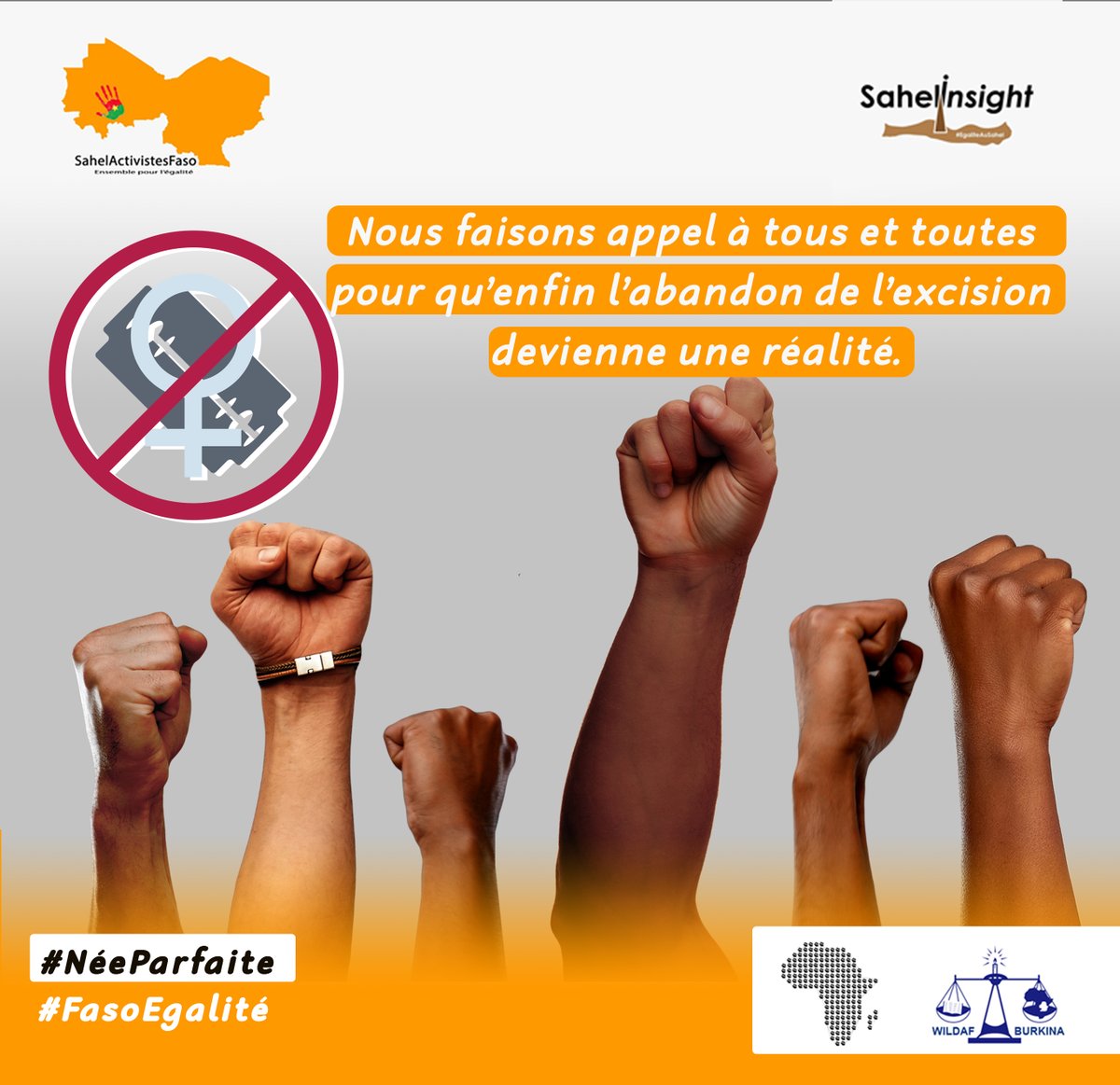 FasoEgalite's tweet photo. Les mutilations génitales féminines perpétuent les inégalités en limitant les opportunités pour les femmes et les filles d’exercer leurs droits et de réaliser leur plein potentiel.
#NéeParfaite
#StopMGF 
#FasoEgalité
#lwili
#burkina https://t.co/cir0yAuSqk