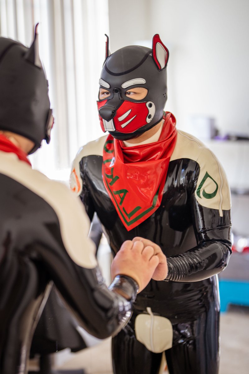 I turn human into puppies and I turn puppies into even cuter puppies. 

Today marks the birthday of my lovely kinky pup, Lakto (also known as Barp). We look forward to a happy puppy journey 🐶🐶