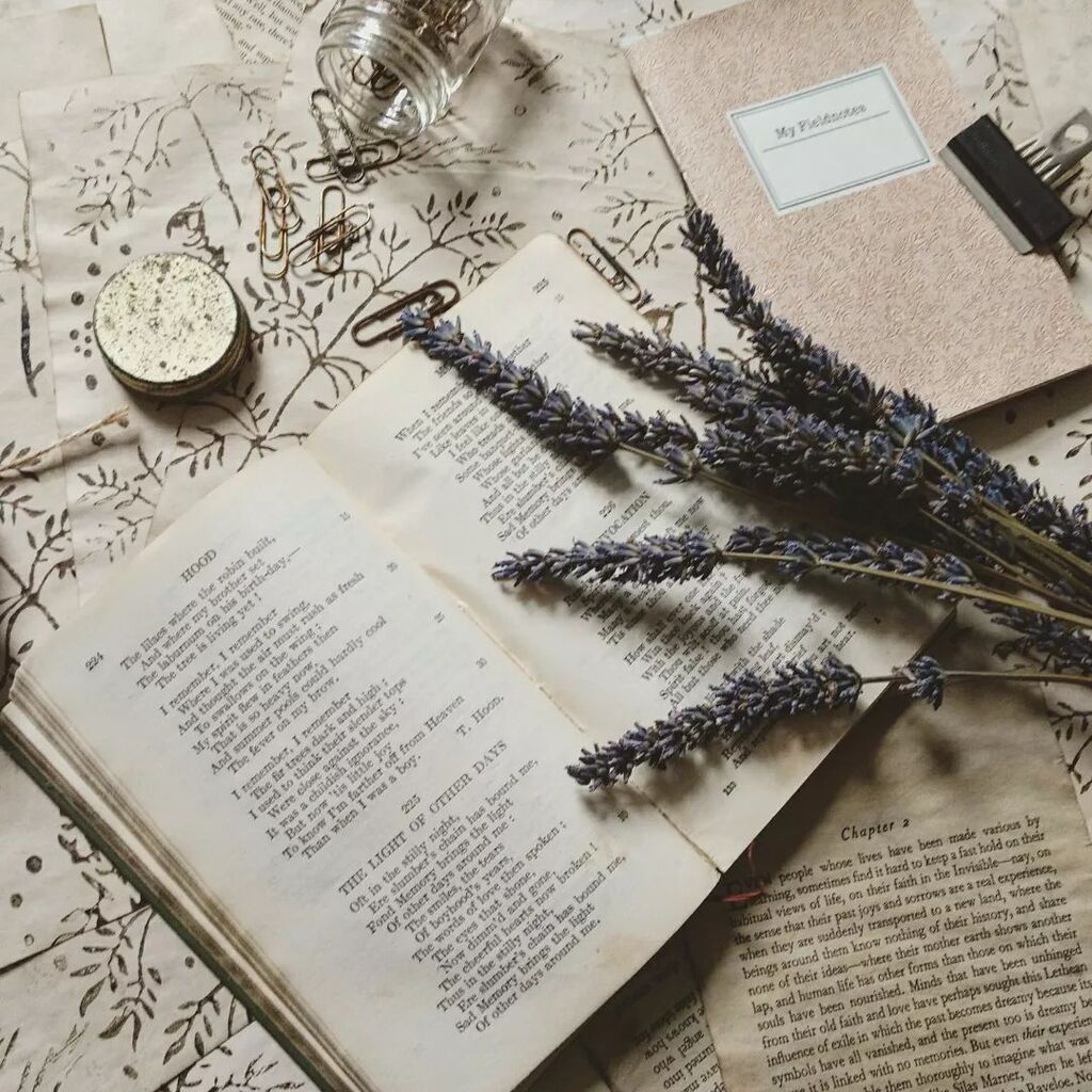 How are you all doing in this heat?⁠
⁠
I have to admit, these are moments when I'm happy to be living in an old, damp Welsh house with thick stone walls. (Let's hope they dry out a bit, before the rain starts.)⁠
⁠
Might go up to Newton House (Dinefwr… instagr.am/p/ChMaZTcN_Xi/