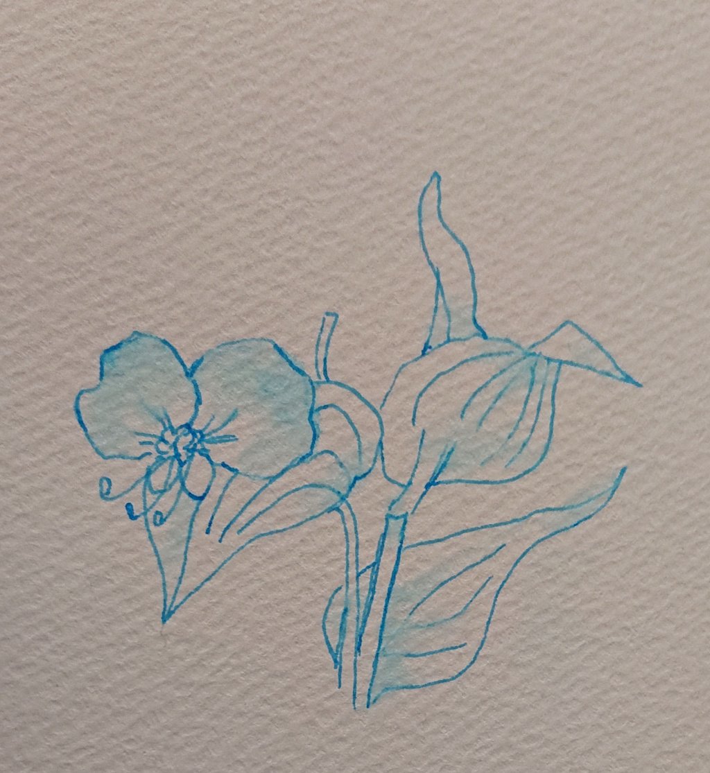 ツユクサ 最新情報まとめ みんなの評価 レビューが見れる ナウティスモーション