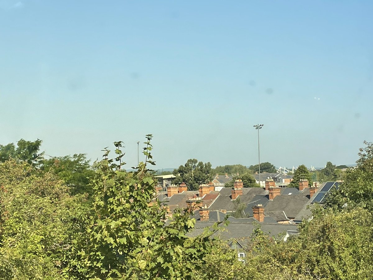 Louis Mendez tweet media