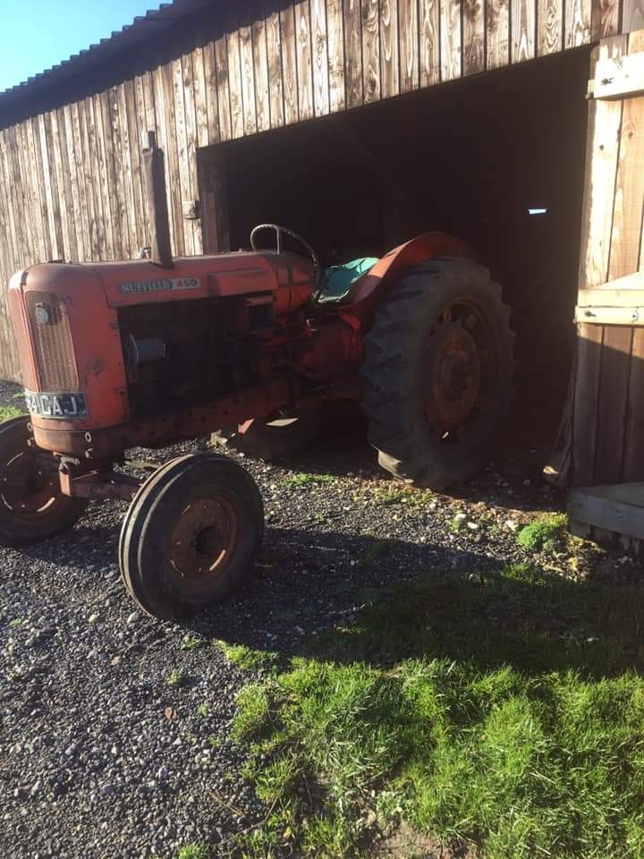 WelburnChris's tweet photo. @farmerThomo my Late Grandads Nuffield 460 universal now back in my dad's hands was bought new in 1964 https://t.co/5MkUr56CkH