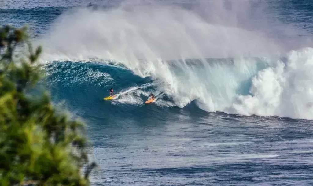 AWE365's tweet photo. The ugliness and art of surfing for money: By an ex pro surfer https://t.co/fHnBmj4YFI
#surf #surfing #prosurf #prosurfer #prosurfing https://t.co/dmmgWGunhI