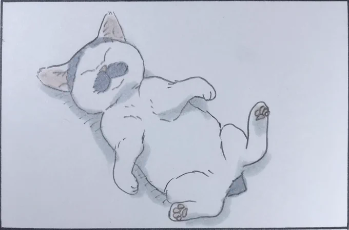 『いるよね』 