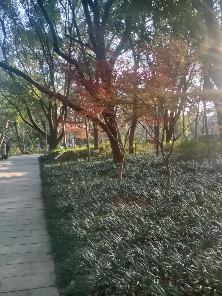 jsct2015's tweet photo. 这么久了腿还没好 真的好难受 想哭😭又哭不出来 https://t.co/lGbOFwgcF5