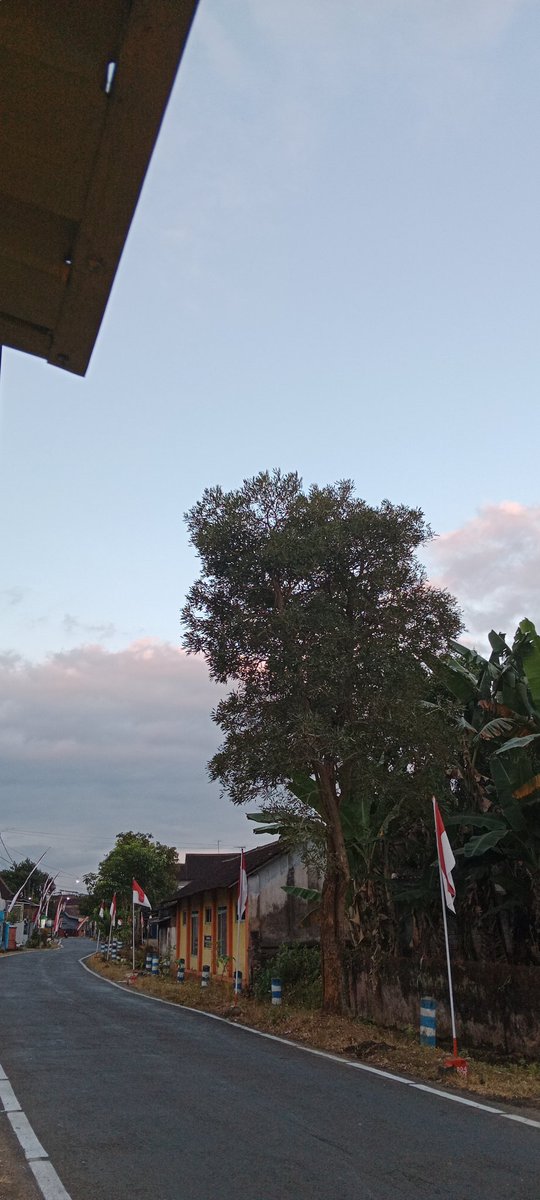 sfxlia's tweet photo. the moon is beautiful isn't it? -08082022- https://t.co/GuhPMOx6Fr