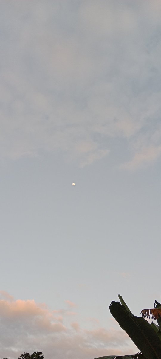 sfxlia's tweet photo. the moon is beautiful isn't it? -08082022- https://t.co/GuhPMOx6Fr
