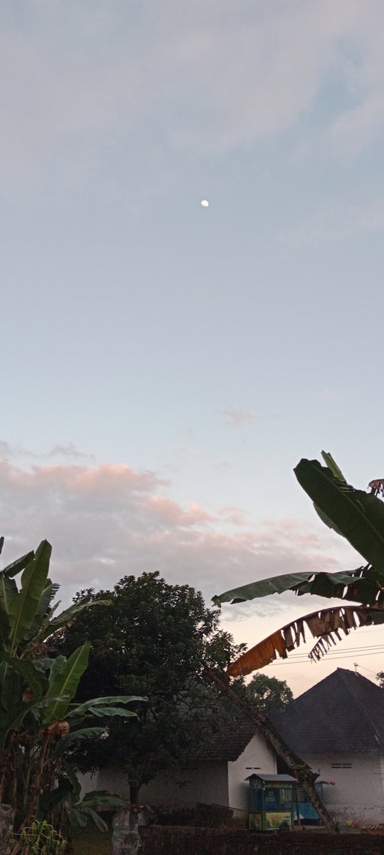 sfxlia's tweet photo. the moon is beautiful isn't it? -08082022- https://t.co/GuhPMOx6Fr